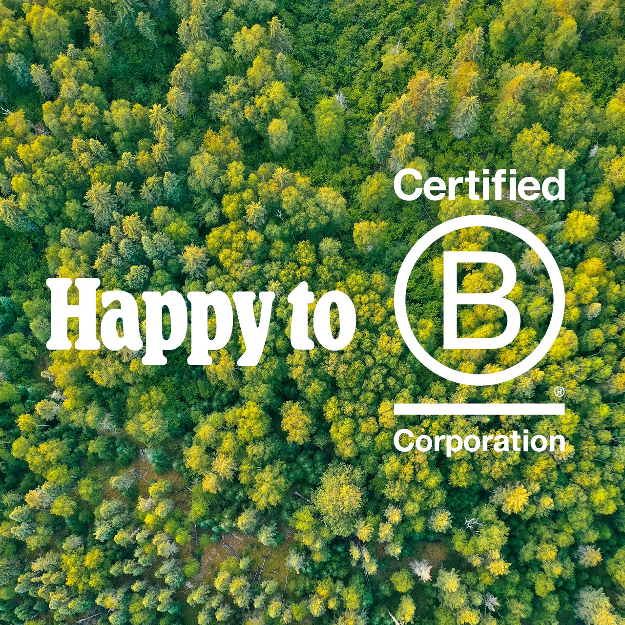 Planted obtains B Corp Certification
